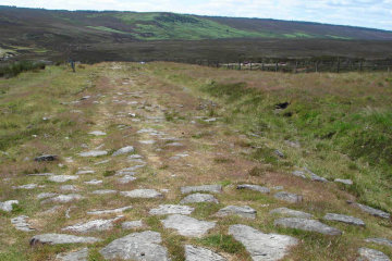 The Roman road on Wheeldale Moor*