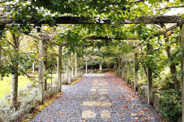 One of the pleasant walkways in the gardens*