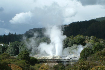 One of the spectacular geysers in Tepuia*